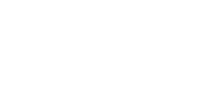 Google Partner