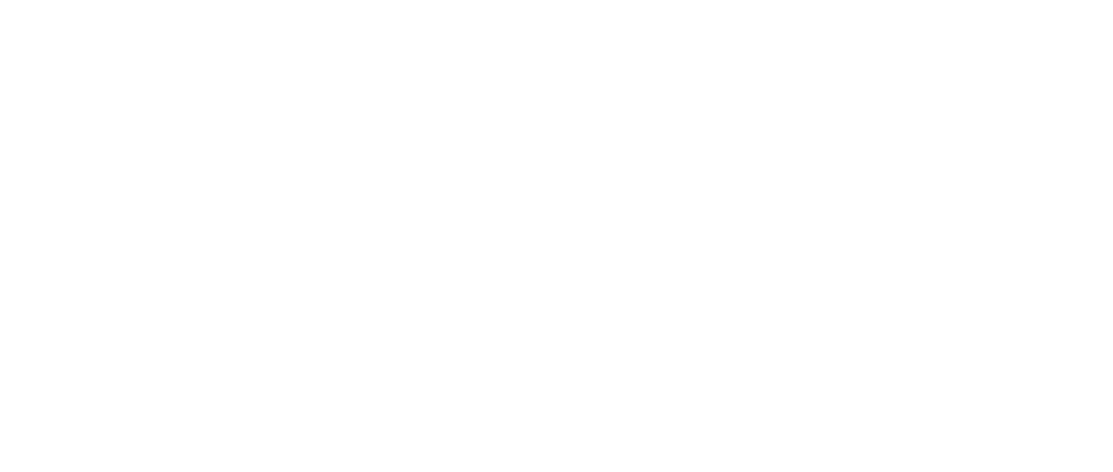 Meta Business Partner